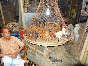 GCRF One Health Poultry Hub